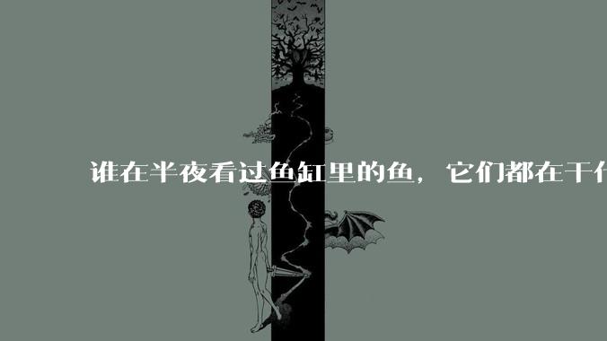 谁在半夜看过鱼缸里的鱼，它们都在干什么？
