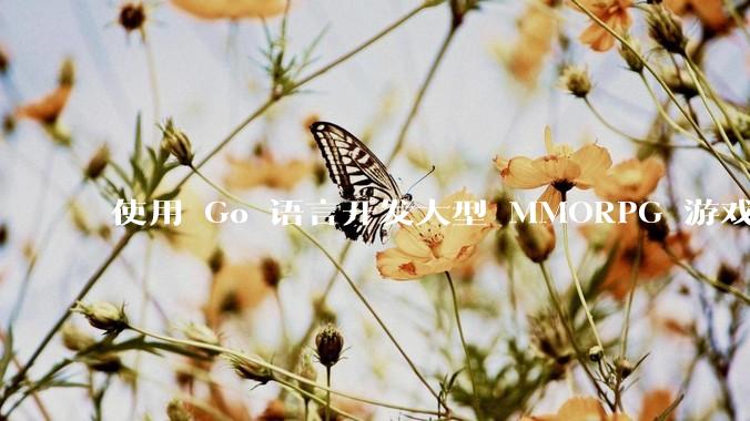 使用 Go 语言开发大型 MMORPG 游戏服务器怎么样？